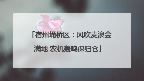 宿州埇桥区：风吹麦浪金满地 农机轰鸣保归仓