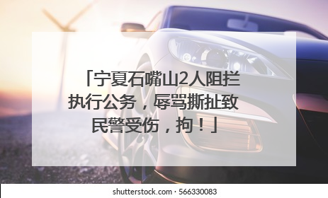 宁夏石嘴山2人阻拦执行公务，辱骂撕扯致民警受伤，拘！