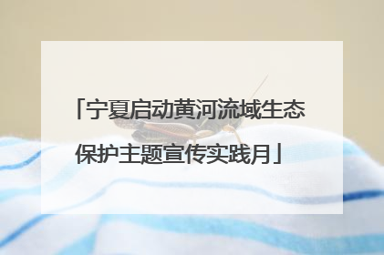 宁夏启动黄河流域生态保护主题宣传实践月