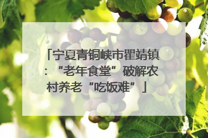 宁夏青铜峡市瞿靖镇：“老年食堂”破解农村养老“吃饭难”