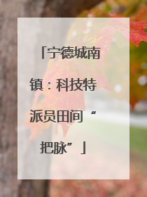 宁德城南镇：科技特派员田间“把脉”