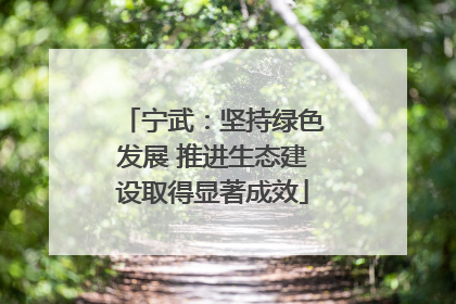 宁武：坚持绿色发展 推进生态建设取得显著成效