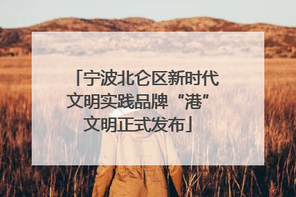 宁波北仑区新时代文明实践品牌“港”文明正式发布
