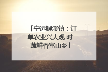 宁远鲤溪镇：订单农业兴大观 时蔬鲜香富山乡