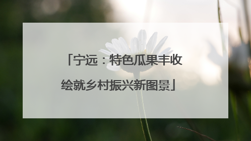 宁远：特色瓜果丰收绘就乡村振兴新图景