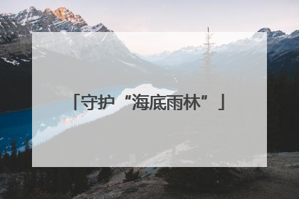 守护“海底雨林”