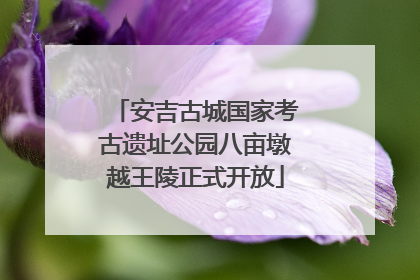 安吉古城国家考古遗址公园八亩墩越王陵正式开放