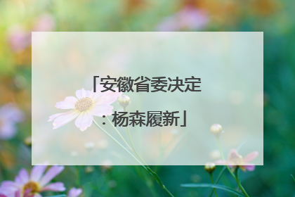 安徽省委决定：杨森履新