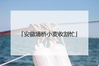 安徽埇桥小麦收割忙