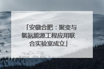 安徽合肥：聚变与氢氨能源工程应用联合实验室成立