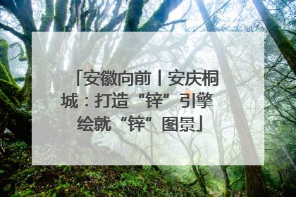 安徽向前丨安庆桐城：打造“锌”引擎 绘就“锌”图景