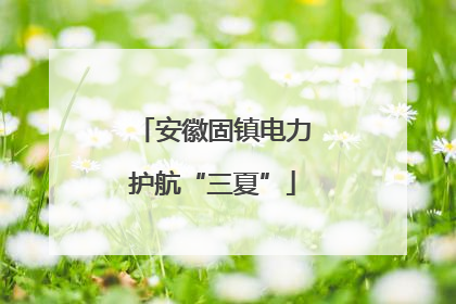 安徽固镇电力护航“三夏”