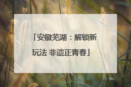 安徽芜湖：解锁新玩法 非遗正青春