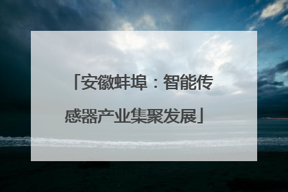 安徽蚌埠：智能传感器产业集聚发展