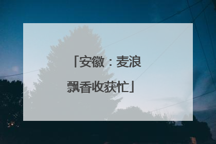 安徽：麦浪飘香收获忙