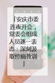 安庆市委连夜开会，常委会组成人员逐一表态：深刻汲取惨痛教训