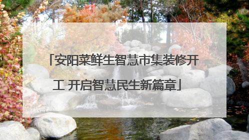 安阳菜鲜生智慧市集装修开工 开启智慧民生新篇章