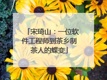 宋琦山：一位软件工程师到茶乡制茶人的蝶变