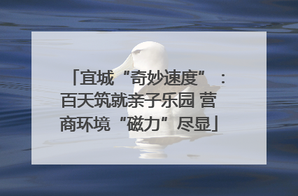 宜城“奇妙速度”：百天筑就亲子乐园 营商环境“磁力”尽显