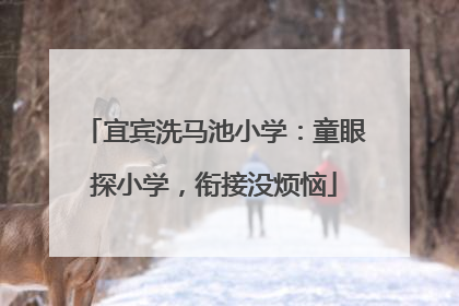 宜宾洗马池小学：童眼探小学，衔接没烦恼