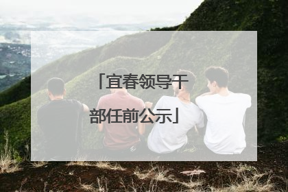 宜春领导干部任前公示