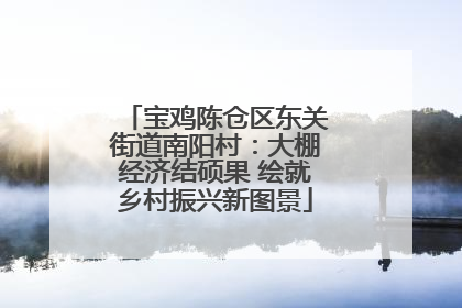 宝鸡陈仓区东关街道南阳村：大棚经济结硕果 绘就乡村振兴新图景