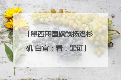 墨西哥国旗飘扬洛杉矶 白宫：看，罪证