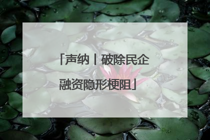 声纳丨破除民企融资隐形梗阻