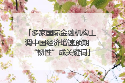 多家国际金融机构上调中国经济增速预期 “韧性”成关键词