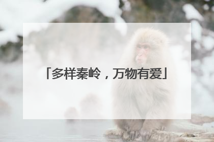 多样秦岭，万物有爱