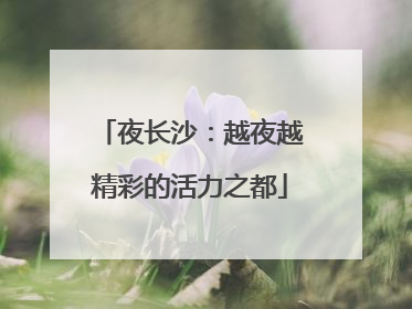 夜长沙：越夜越精彩的活力之都