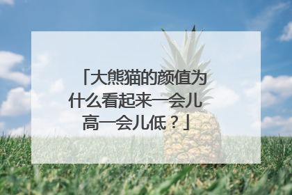 大熊猫的颜值为什么看起来一会儿高一会儿低？