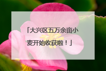 大兴区五万余亩小麦开始收获啦！