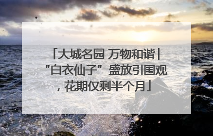 大城名园 万物和谐│“白衣仙子”盛放引围观，花期仅剩半个月