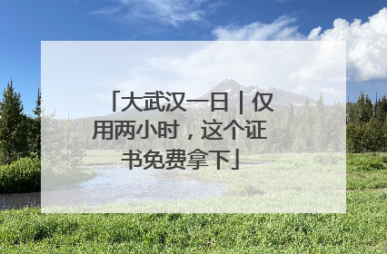 大武汉一日｜仅用两小时，这个证书免费拿下
