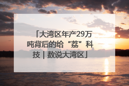 大湾区年产29万吨背后的给“荔”科技｜数说大湾区