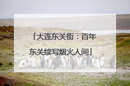 大连东关街：百年东关续写烟火人间