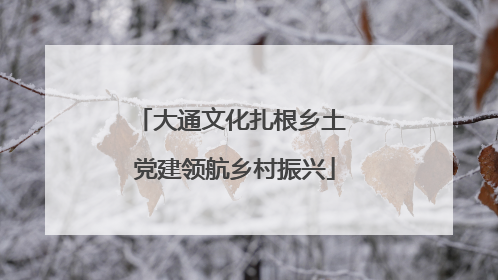 大通文化扎根乡土 党建领航乡村振兴