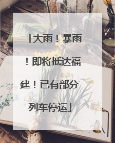 大雨！暴雨！即将抵达福建！已有部分列车停运