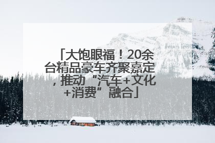 大饱眼福！20余台精品豪车齐聚嘉定，推动“汽车+文化+消费”融合