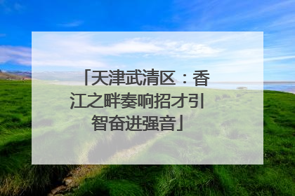 天津武清区：香江之畔奏响招才引智奋进强音