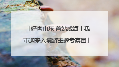 好客山东 首站威海丨我市迎来入境游主题考察团
