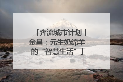 奔流城市计划丨金昌：元生奶绵羊的“智慧生活”