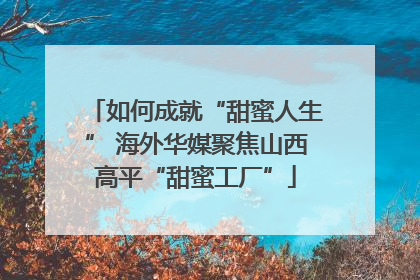 如何成就“甜蜜人生” 海外华媒聚焦山西高平“甜蜜工厂”