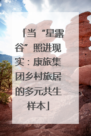 当“星露谷”照进现实：康旅集团乡村旅居的多元共生样本