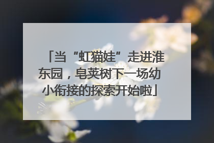 当“虹猫娃”走进淮东园，皂荚树下一场幼小衔接的探索开始啦