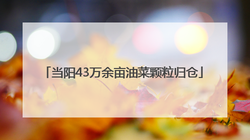 当阳43万余亩油菜颗粒归仓
