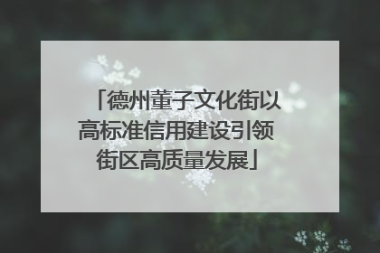 德州董子文化街以高标准信用建设引领街区高质量发展