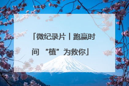 微纪录片丨跑赢时间 “植”为救你