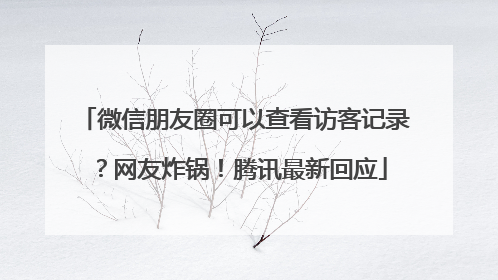 微信朋友圈可以查看访客记录？网友炸锅！腾讯最新回应